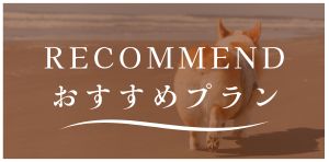 おすすめプラン