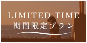 期間限定プラン