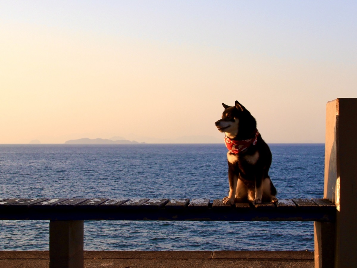 【ご案内】年末年始プランご予約受付中