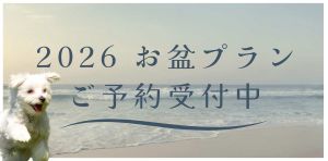 お盆プラン