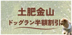 土肥金山ドッグラン半額割引キャンペーン